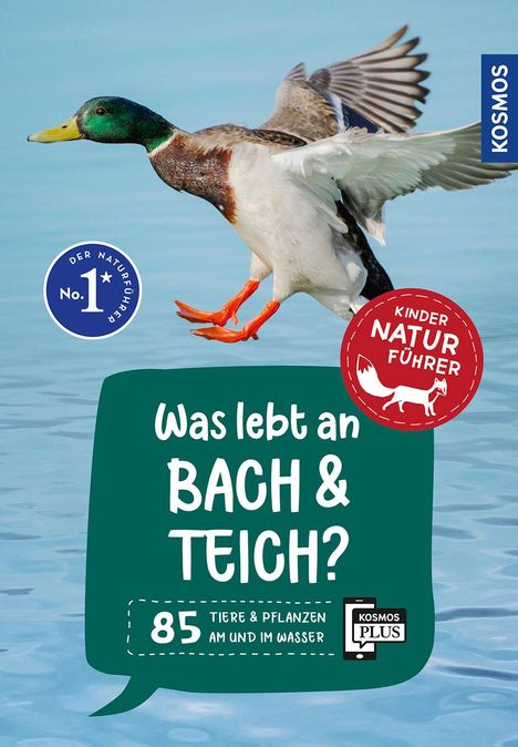 Anita van Saan: Was lebt an Bach und Teich? Kindernaturführer, Buch