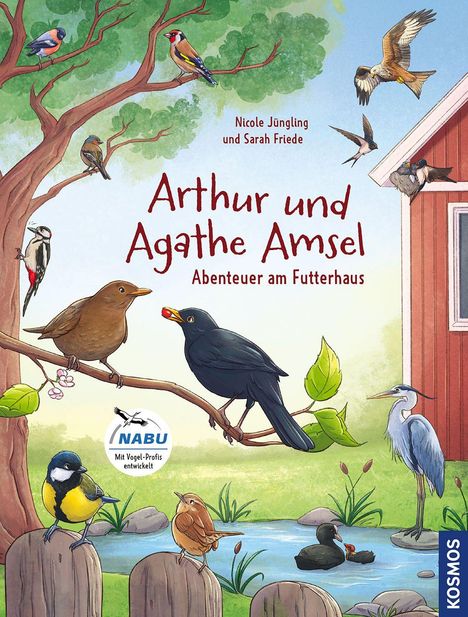 Cover/Produkt Ansicht vergrößern