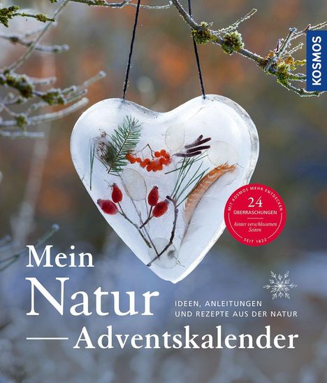 Cover/Produkt Ansicht vergrößern