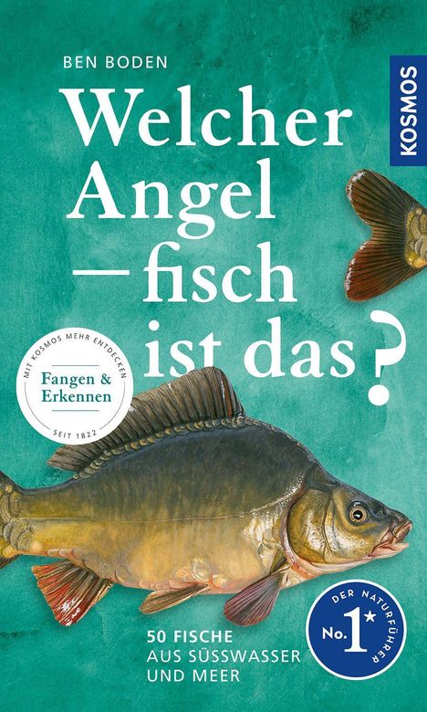 "Welcher Angelfisch ist das? Fangen & Erkennen. 50 Fische aus Süßwasser und Meer." Illustration von Fischen auf grünem Hintergrund.