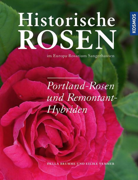 Text: "Historische ROSEN im Europa-Rosarium Sangerhausen. Portland-Rosen und Remontant-Hybriden. Hella Brumme und Eilike Vemmer." Eine rosa Rose im Hintergrund.