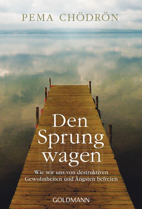 Pema Chödrön: Den Sprung wagen, Buch