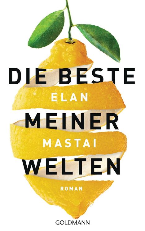 Elan Mastai: Die beste meiner Welten, Buch
