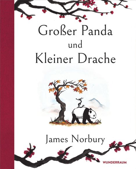 James Norbury: Großer Panda und Kleiner Drache, Buch