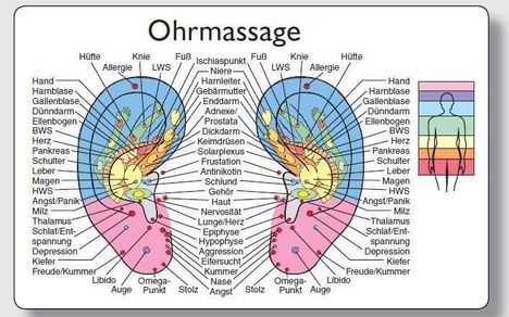 Reflexzonenmassagekarte "Ohr", Diverse