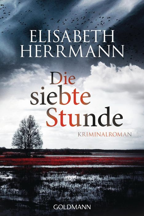 Elisabeth Herrmann: Die siebte Stunde, Buch