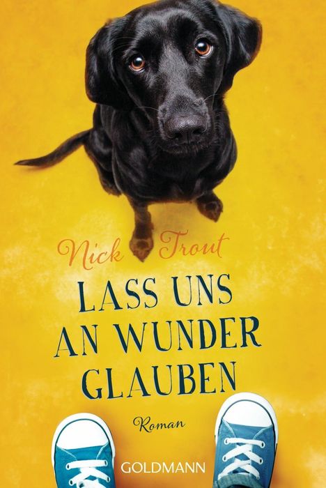 Nick Trout: Lass uns an Wunder glauben, Buch