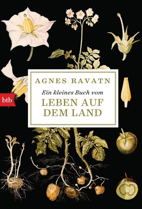 Agnes Ravatn: Ravatn, A: Ein kleines Buch vom Leben auf dem Land, Buch