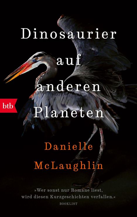 Danielle Mclaughlin: Dinosaurier auf anderen Planeten, Buch