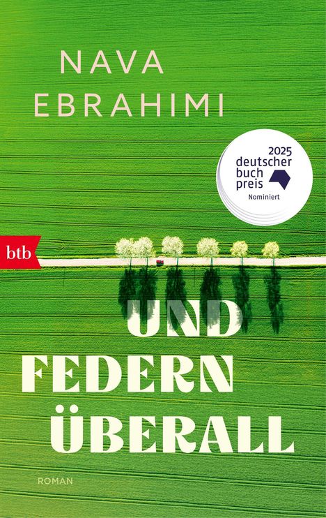 Der Text auf einem grünen Hintergrund lautet: "NAVA EBRAHIMI", "UND FEDERN ÜBERALL", "ROMAN". Ein Logo mit "2025 deutscher buchpreis Nominiert" ist zu sehen.