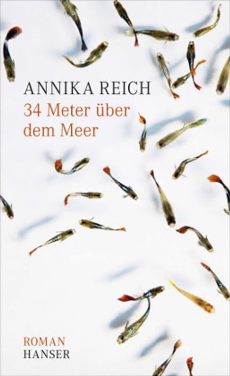 Annika Reich: 34 Meter über dem Meer, Buch