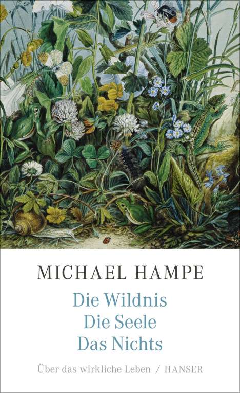 Michael Hampe: Die Wildnis, die Seele, das Nichts, Buch