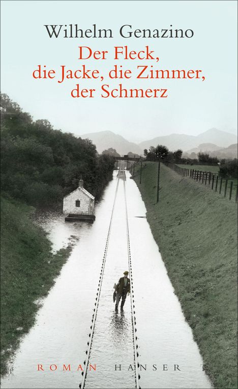 Wilhelm Genazino: Der Fleck, die Jacke, die Zimmer, der Schmerz, Buch