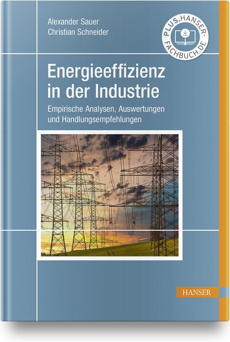 Alexander Sauer: Energieeffizienz in der Industrie, Buch