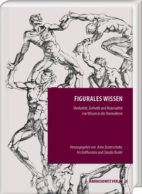 Figurales Wissen, Buch