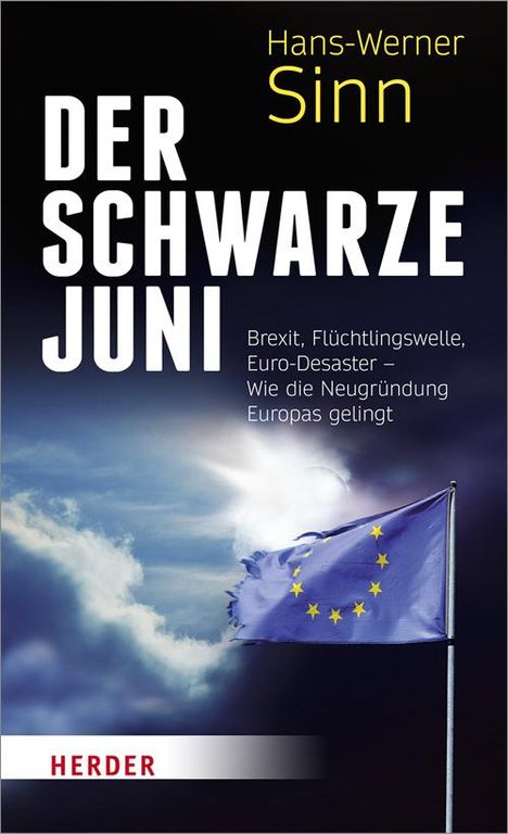 Hans-Werner Sinn: Der Schwarze Juni, Buch