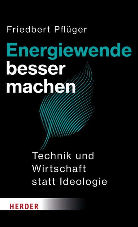 Friedbert Pflüger: Energiewende besser machen, Buch