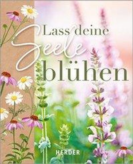 Diana Schmid: Schmid, D: Lass deine Seele blühen, Buch