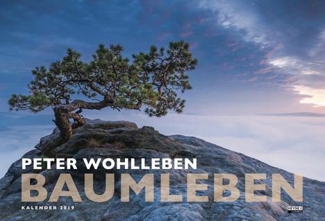 Peter Wohlleben: Baumleben 2019 Wandkalender, Diverse
