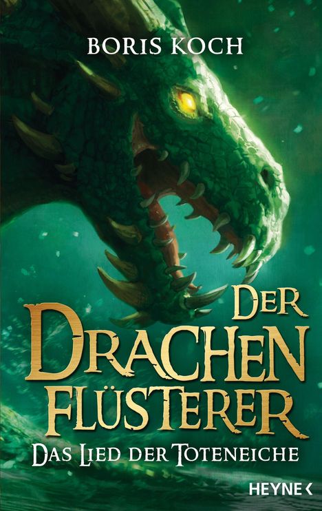 Boris Koch: Der Drachenflüsterer - Das Lied der Toteneiche, Buch