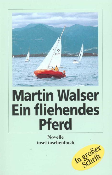 Martin Walser: Walser, M: fliehendes Pferd GD, Buch