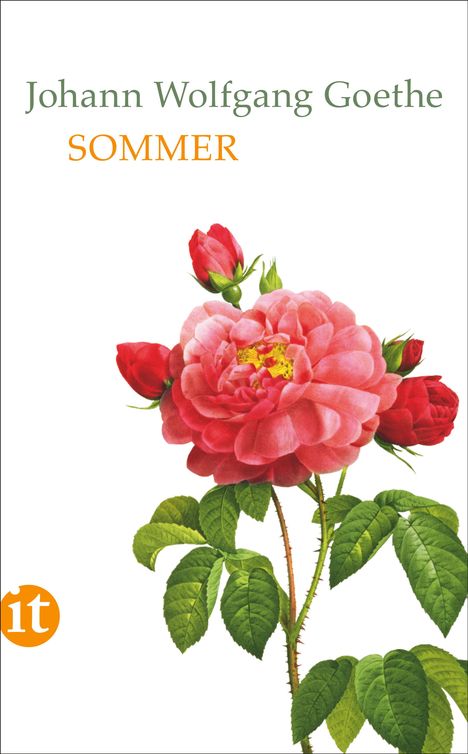 Johann Wolfgang von Goethe: Sommer, Buch