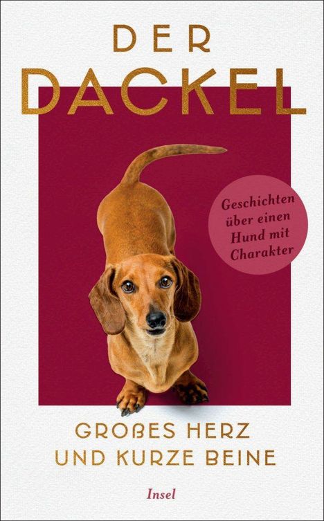 "Der Dackel: Großes Herz und kurze Beine. Geschichten über einen Hund mit Charakter." Ein Dackel auf rotem Hintergrund.