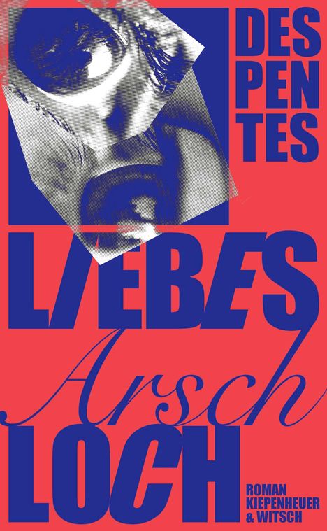 Virginie Despentes: Liebes Arschloch, Buch