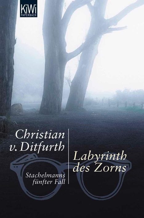 Christian von Ditfurth: Labyrinth des Zorns, Buch