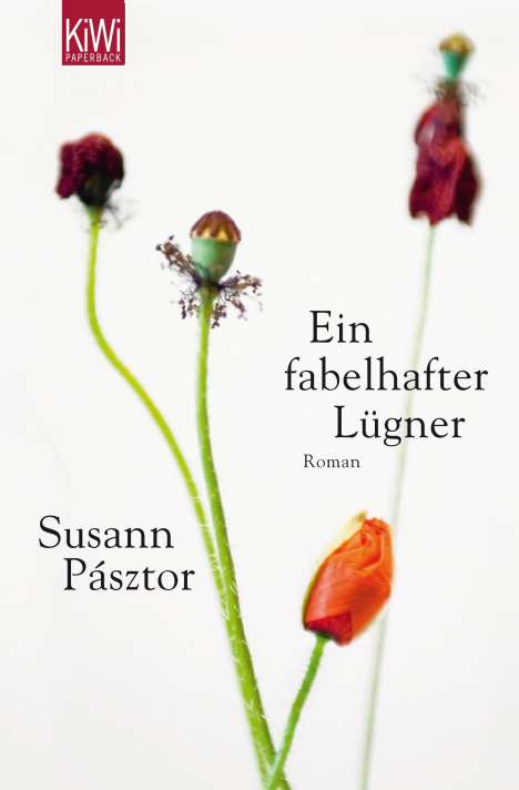 Susann Pásztor: Ein fabelhafter Lügner, Buch
