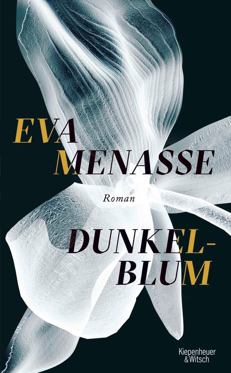 Eva Menasse: Dunkelblum, Buch