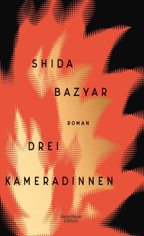 Shida Bazyar: Drei Kameradinnen, Buch