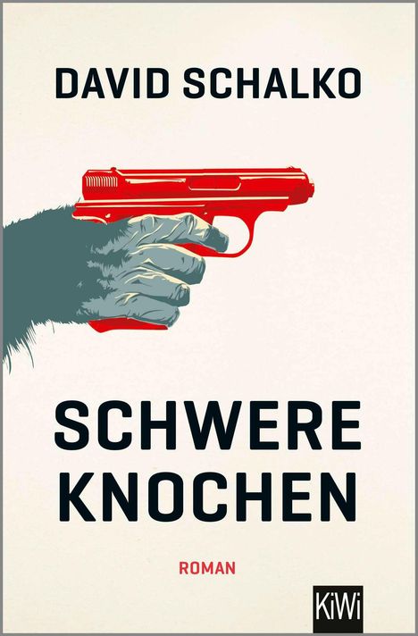 David Schalko: Schwere Knochen, Buch