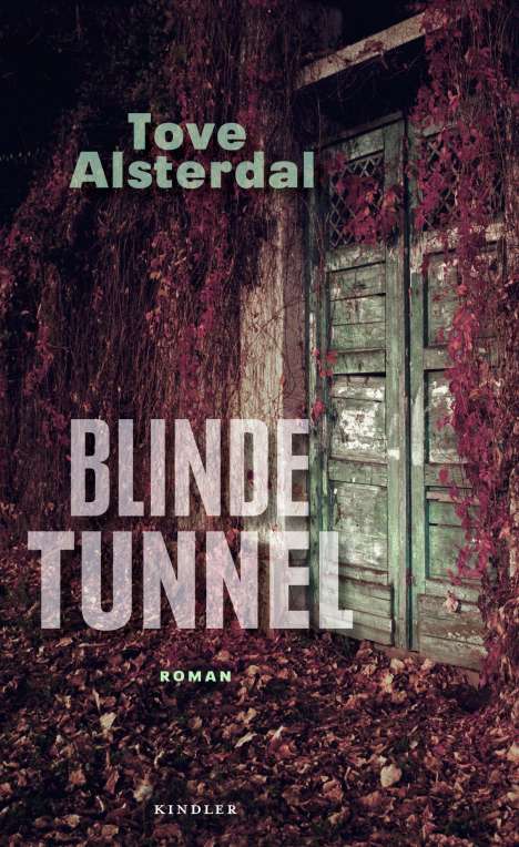 Tove Alsterdal: Blinde Tunnel, Buch