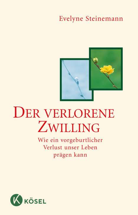 Evelyne Steinemann: Der verlorene Zwilling, Buch