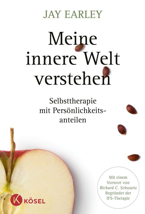 Jay Earley: Meine innere Welt verstehen, Buch