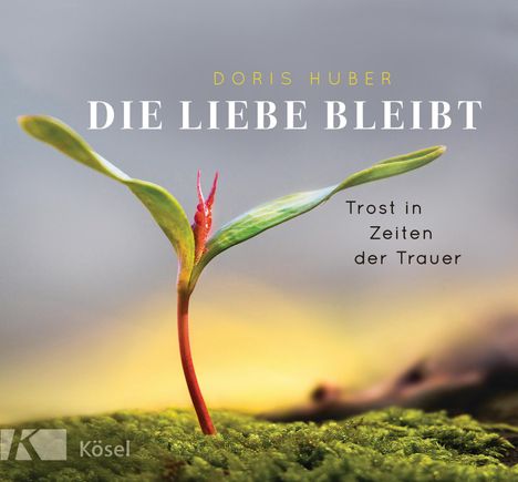 Doris Huber: Die Liebe bleibt, Buch