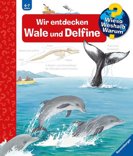 Doris Rübel: Wieso? Weshalb? Warum?, Band 41: Wir entdecken Wale und Delfine, Buch
