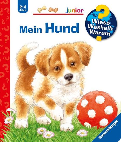 Patricia Mennen: Wieso? Weshalb? Warum? junior, Band 41: Mein Hund, Buch