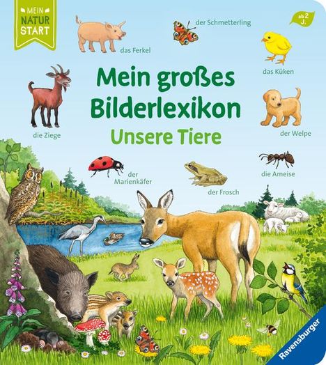 Susanne Gernhäuser: Mein großes Bilderlexikon: Unsere Tiere, Buch