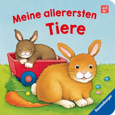 Meine allerersten Tiere, Buch