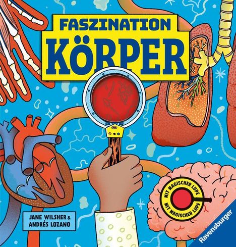 Jane Wilsher: Faszination Köper - Körpersachbuch für Kinder ab 7 Jahren mit magischer Lupe, Buch