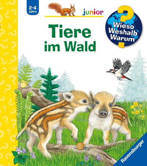 Patricia Mennen: Wieso? Weshalb? Warum? junior, Band 77: Tiere im Wald, Buch