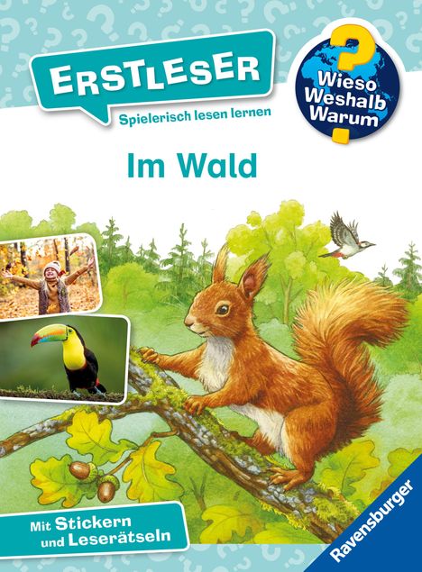 Sandra Noa: Wieso? Weshalb? Warum? Erstleser, Band 17 - Im Wald, Buch
