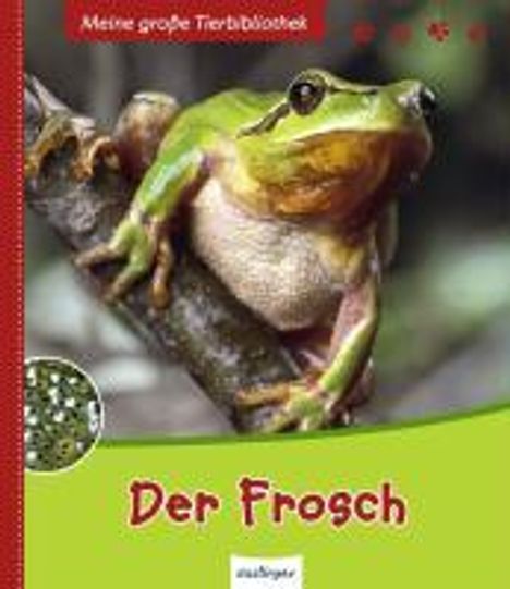 Starosta, P: Frosch, Buch