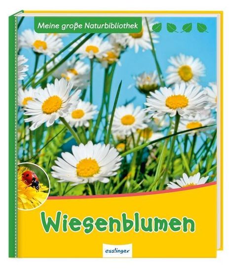 Svenja Ernsten: Ernsten, S: Wiesenblumen, Buch