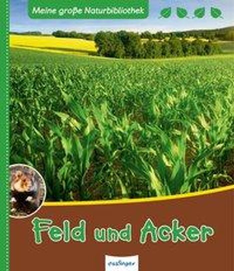 Axel Gutjahr: Feld und Acker, Buch