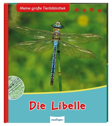Axel Gutjahr: Meine große Tierbibliothek: Die Libelle, Buch