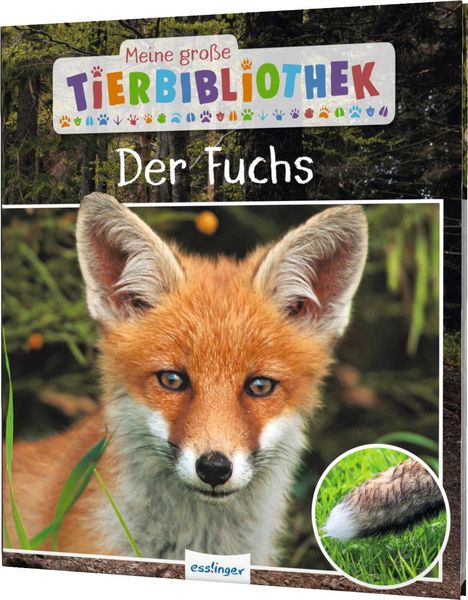 Christian Havard: Meine große Tierbibliothek: Der Fuchs, Buch