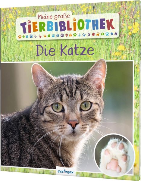 Stéphanie Ledu-Frattini: Meine große Tierbibliothek: Die Katze, Buch